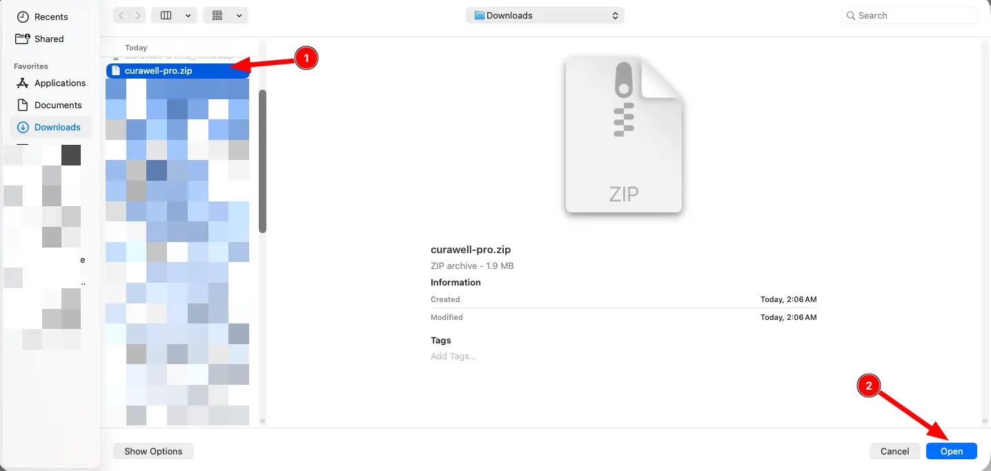 Screenshot of curawell theme installation